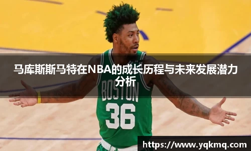 B体育bsports