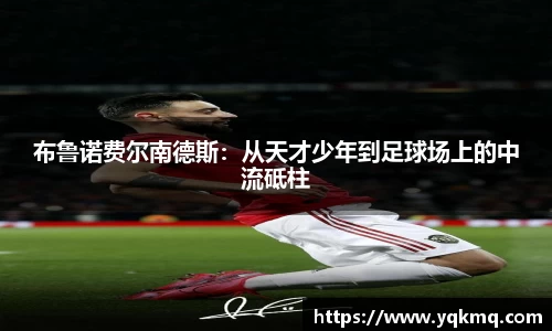 B体育官网